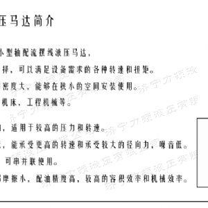 完美网页版侧油口系列马达