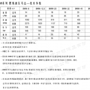 完美网页版侧油口系列马达