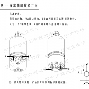 完美网页版后油口系列马达
