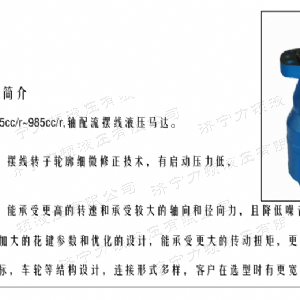 BMH系列交错油口完美平台马达